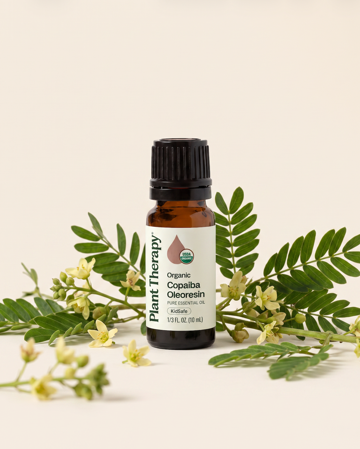 Copaiba Oleoresin Essential Oil | Plant Therapy | Organic