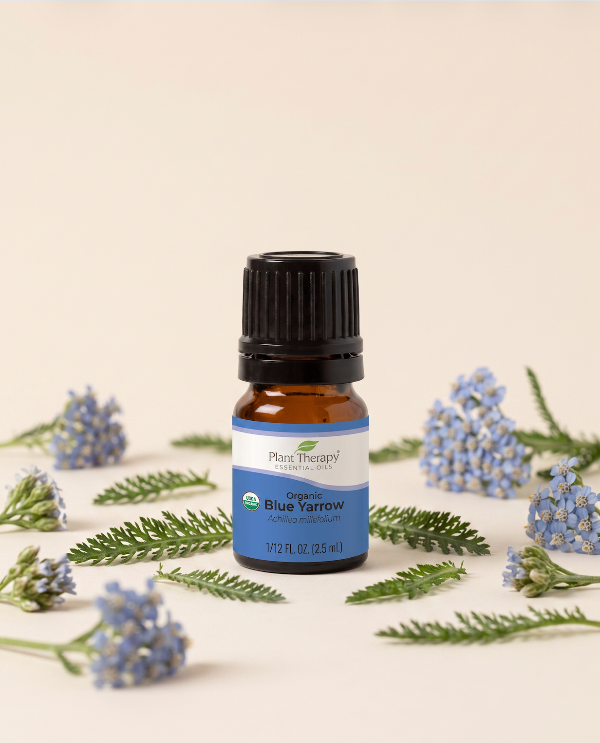 Blue Yarrow Essential Oil | Plant Therapy | Organic