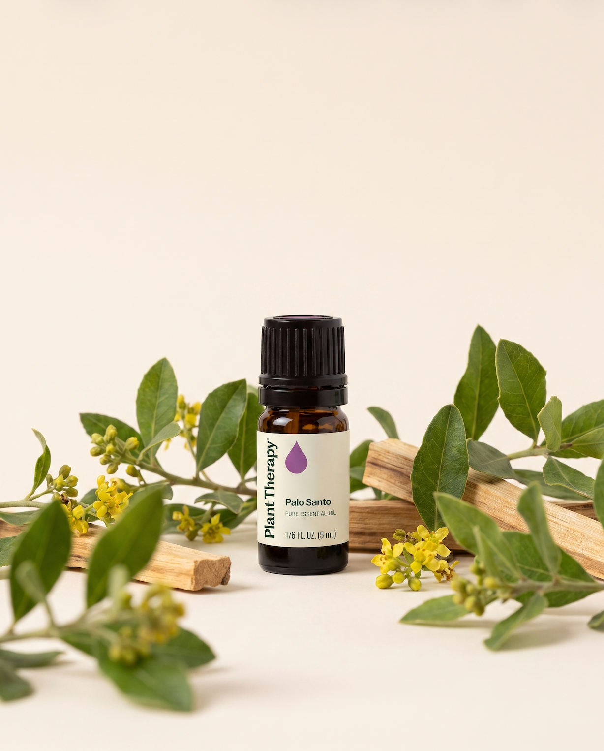 Palo Santo Essential Oil | Plant Therapy