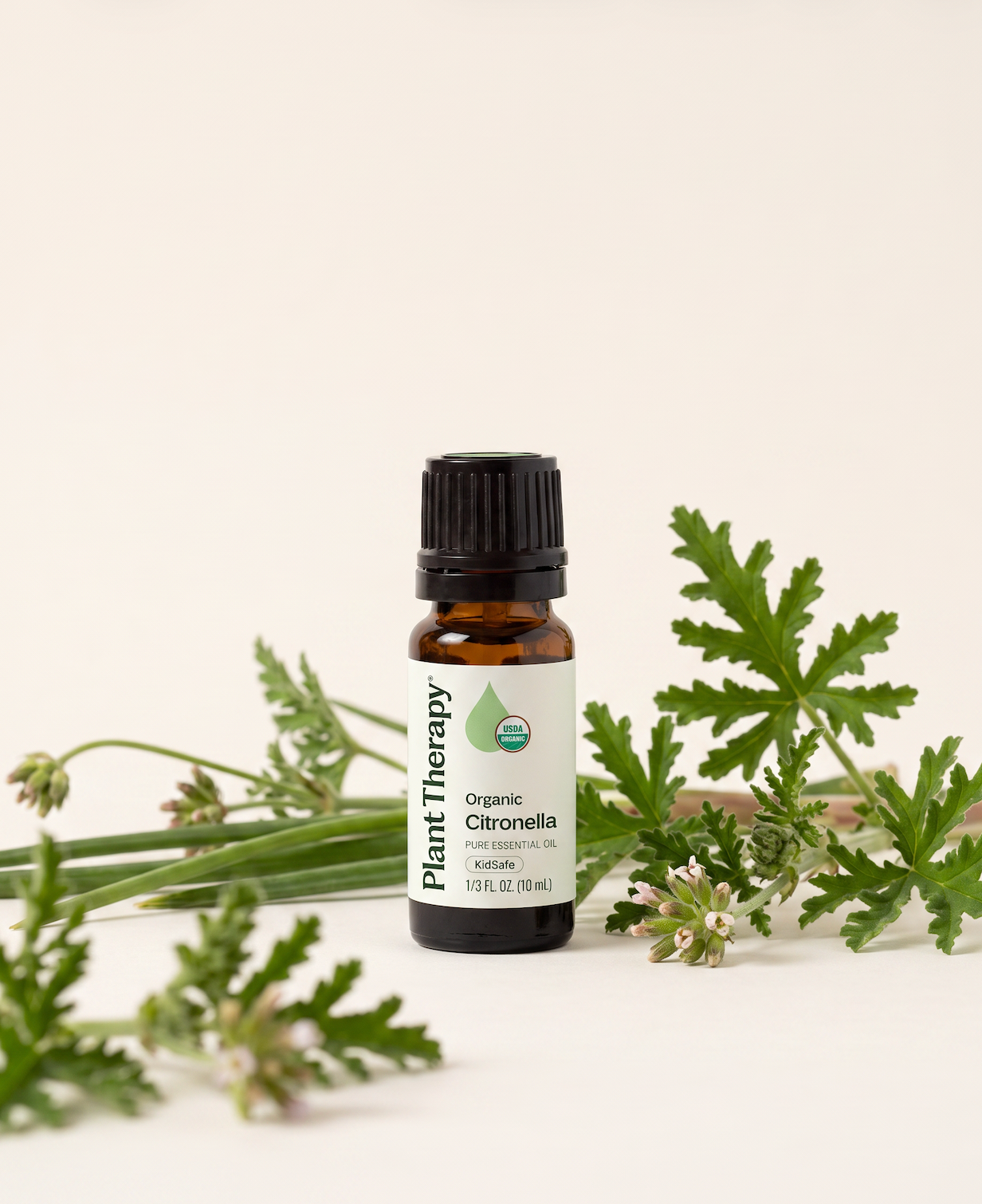 Citronella Essential Oil | Plant Therapy | Organic