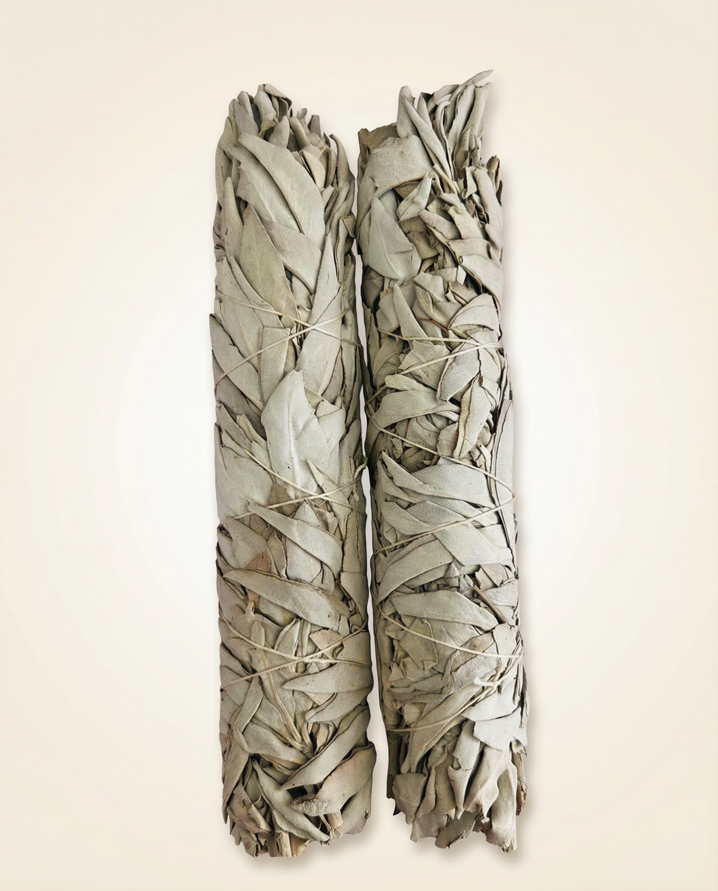 White Sage 9 Inch