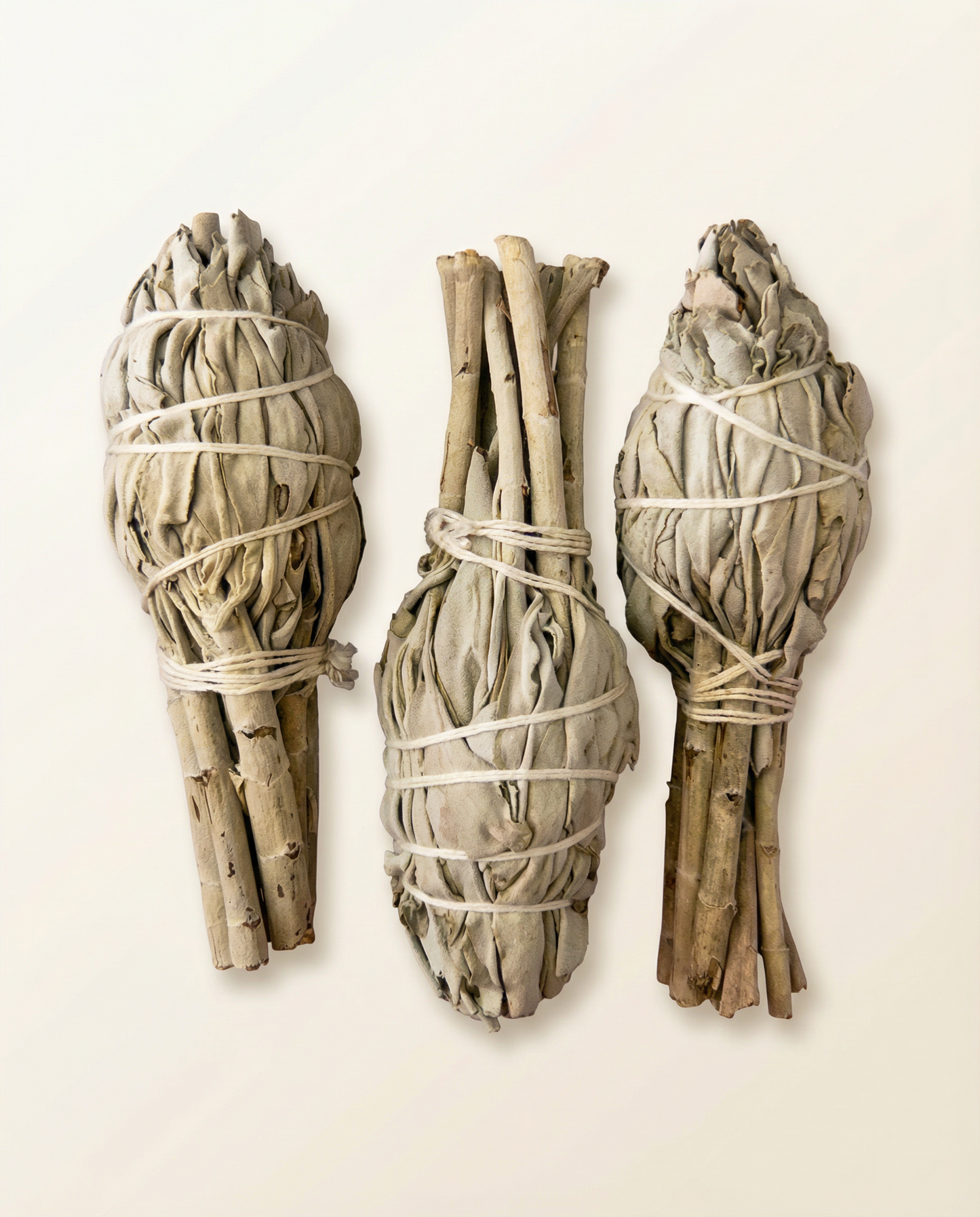 White Sage Torch