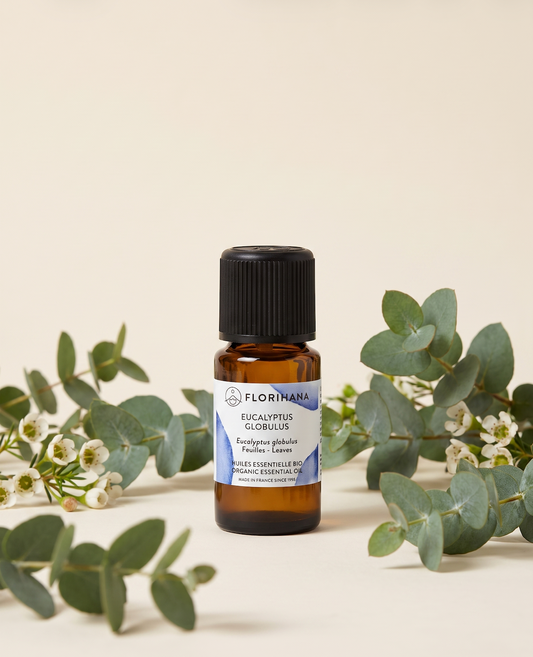 Eucalyptus Globulus | Essential Oil | Florihana | Organic