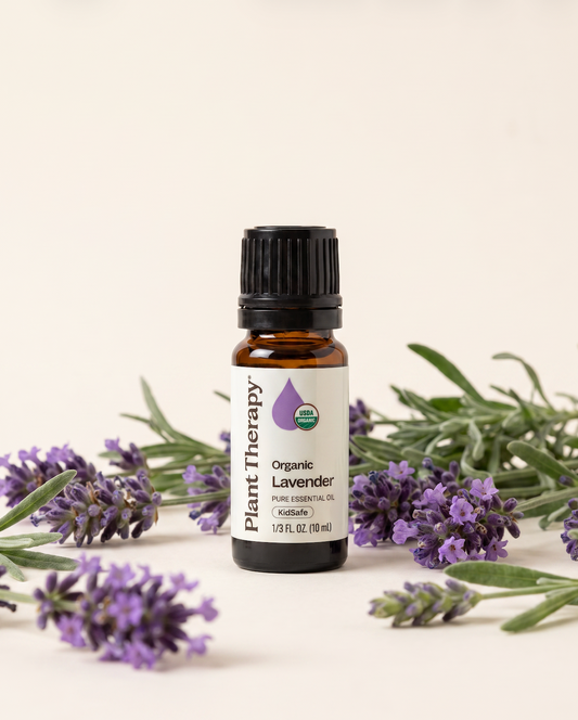 Lavender Essential Oil | Plant Therapy | Organic