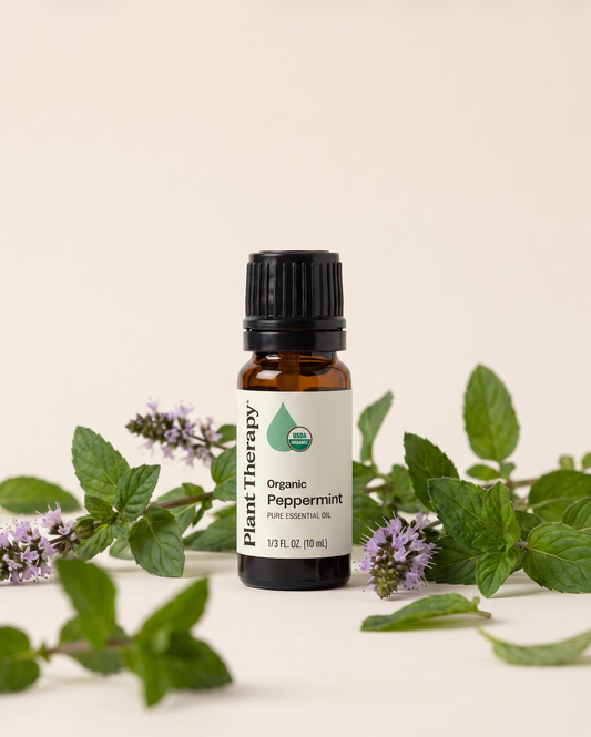Peppermint Essential Oil | Plant Therapy | Organic