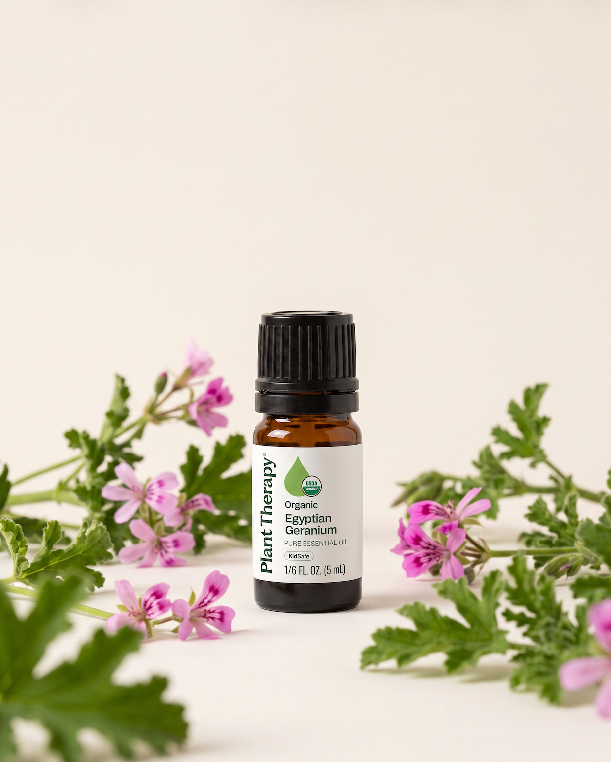 Egyptian Geranium Essential Oil | Plant Therapy | Organic
