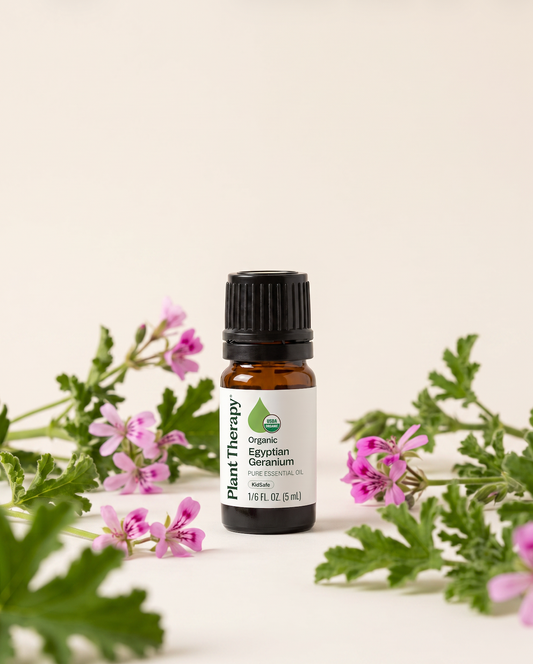 Egyptian Geranium Essential Oil | Plant Therapy | Organic