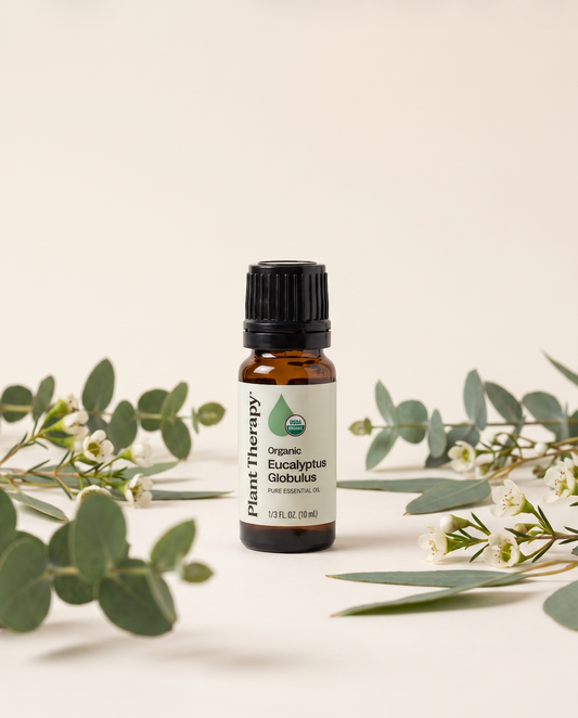 Eucalyptus Essential Oil | Plant Therapy | Organic