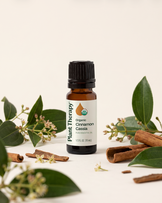 Cinnamon Essential Oil | Plant Therapy | Organic
