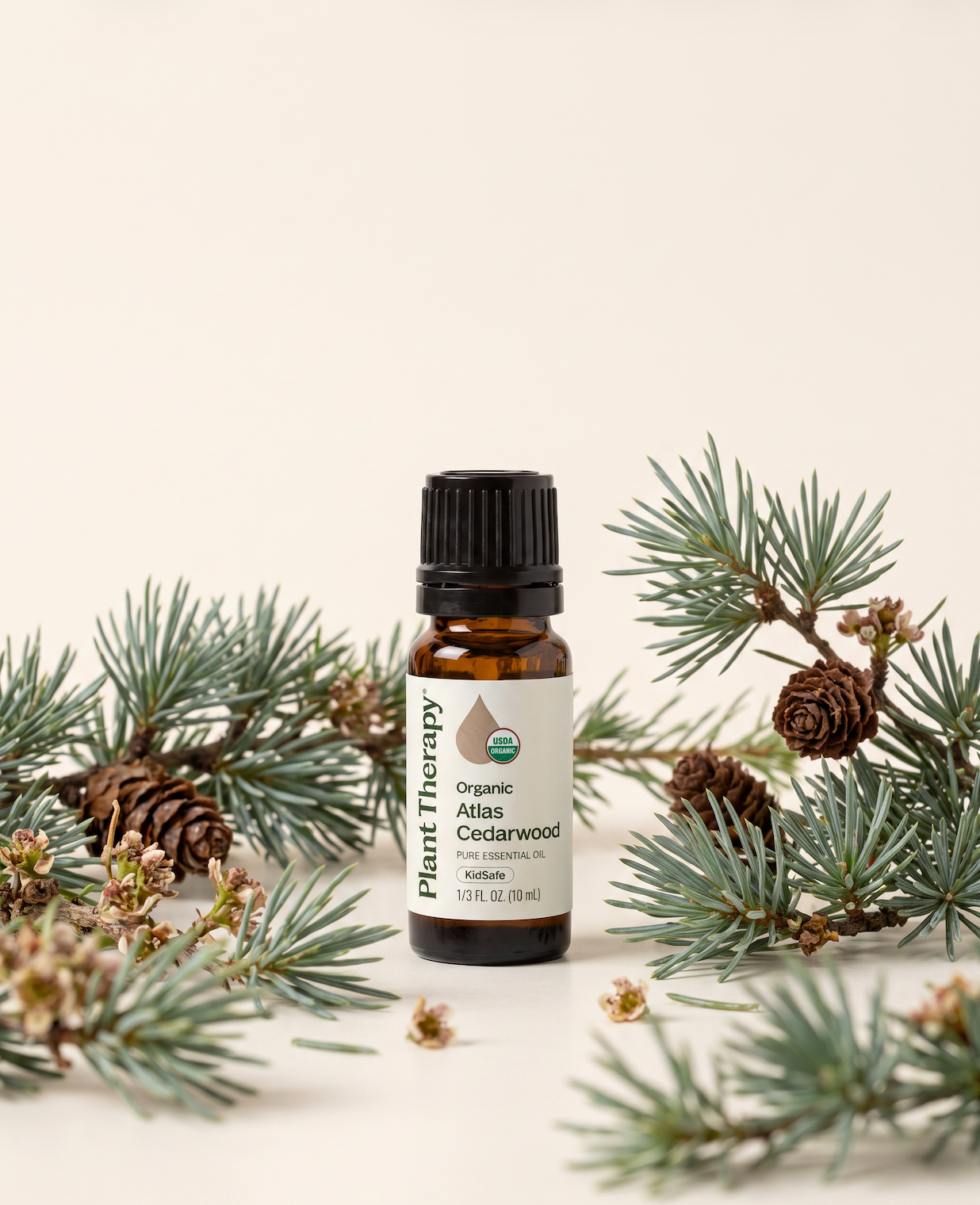 Atlas Cedarwood Essential Oil | Plant Therapy | Organic