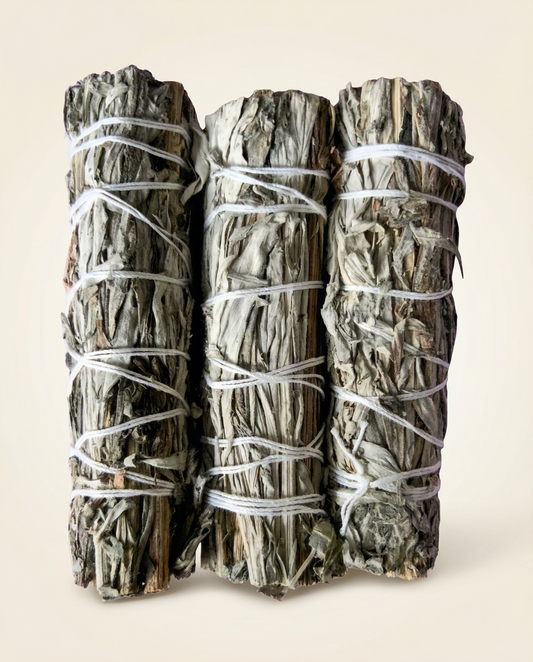Black Sage (Mugwort) Smudge Stick