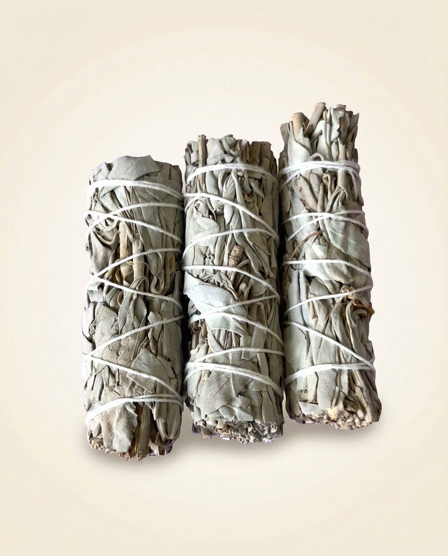 White Sage Smudge Stick