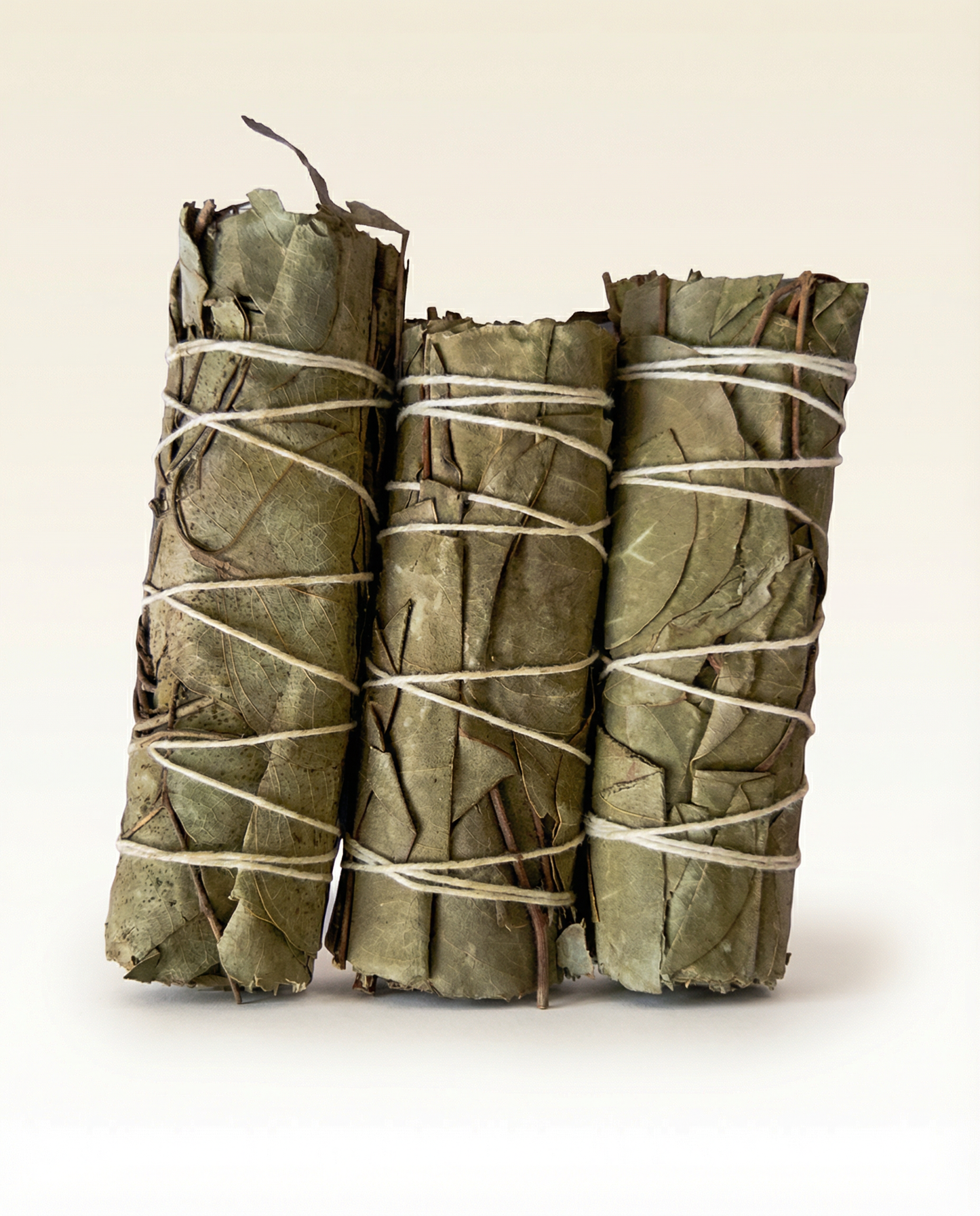 Eucalyptus Smudge Stick
